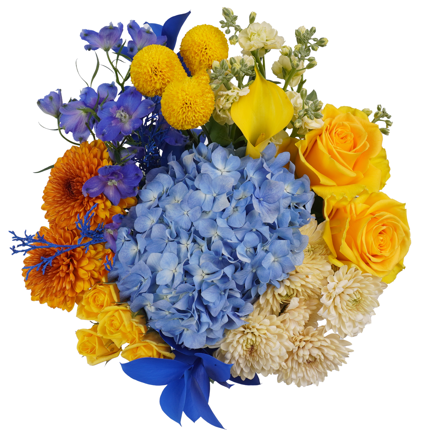 Bright Tradition – A Classic Reimagined