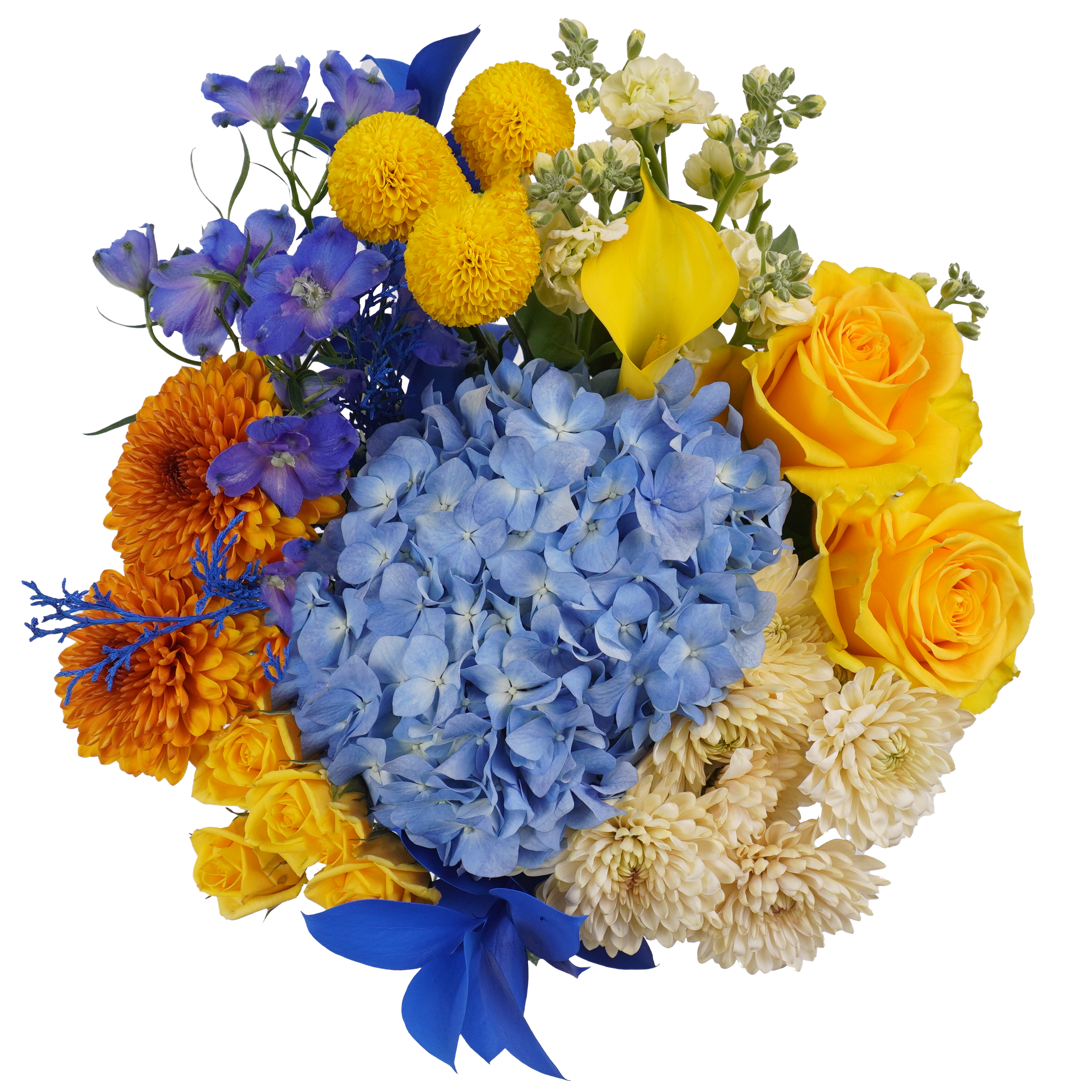 Bright Tradition – A Classic Reimagined