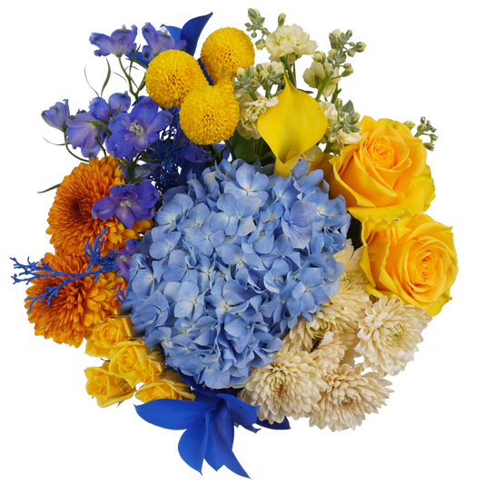 Bright Tradition – A Classic Reimagined