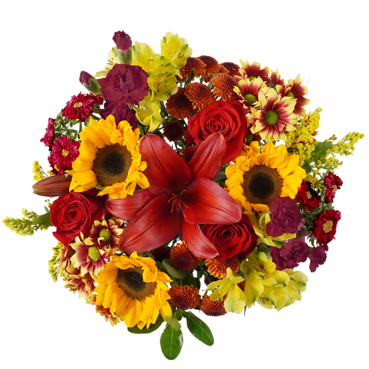 Burgundy Majesty – Deep, Regal, and Refined