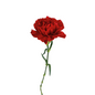 Carnation Red Select (25 stem bunch)