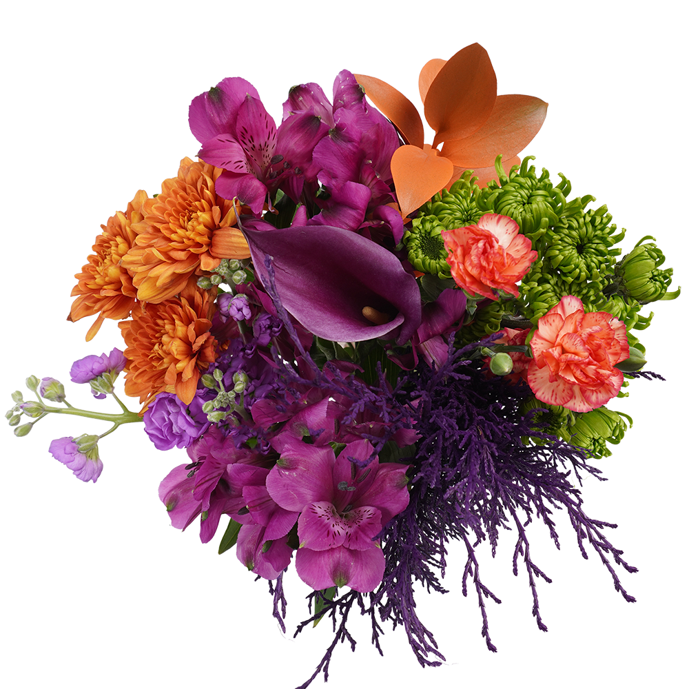 Cobweb Cascade – Whimsical and Enchanting