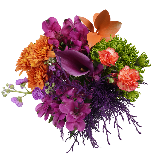 Cobweb Cascade – Whimsical and Enchanting