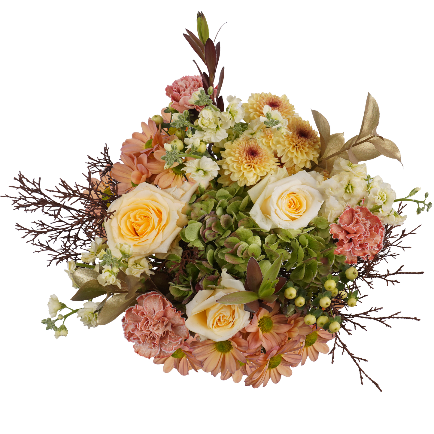 Countdown – Elegant Anticipation