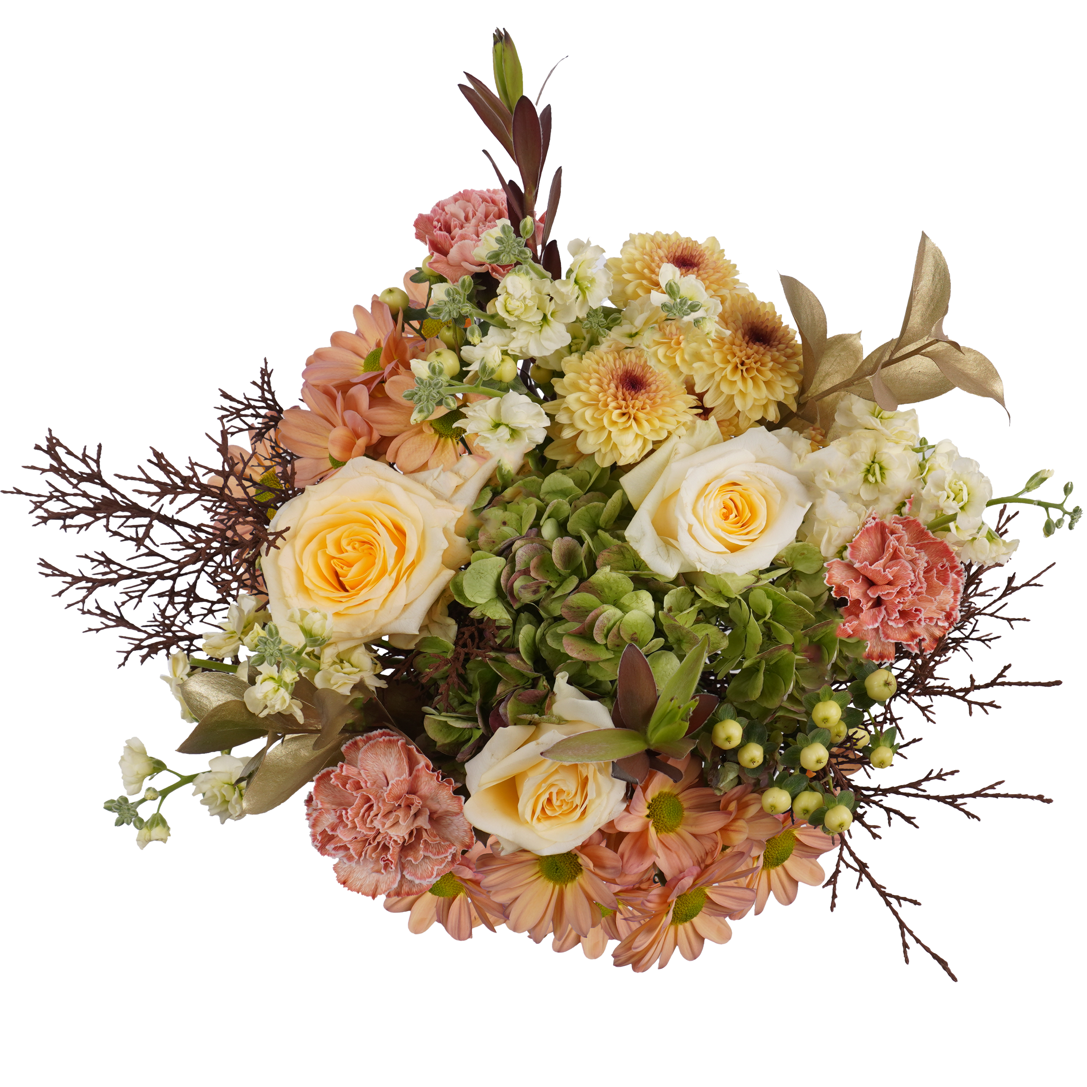 Countdown – Elegant Anticipation