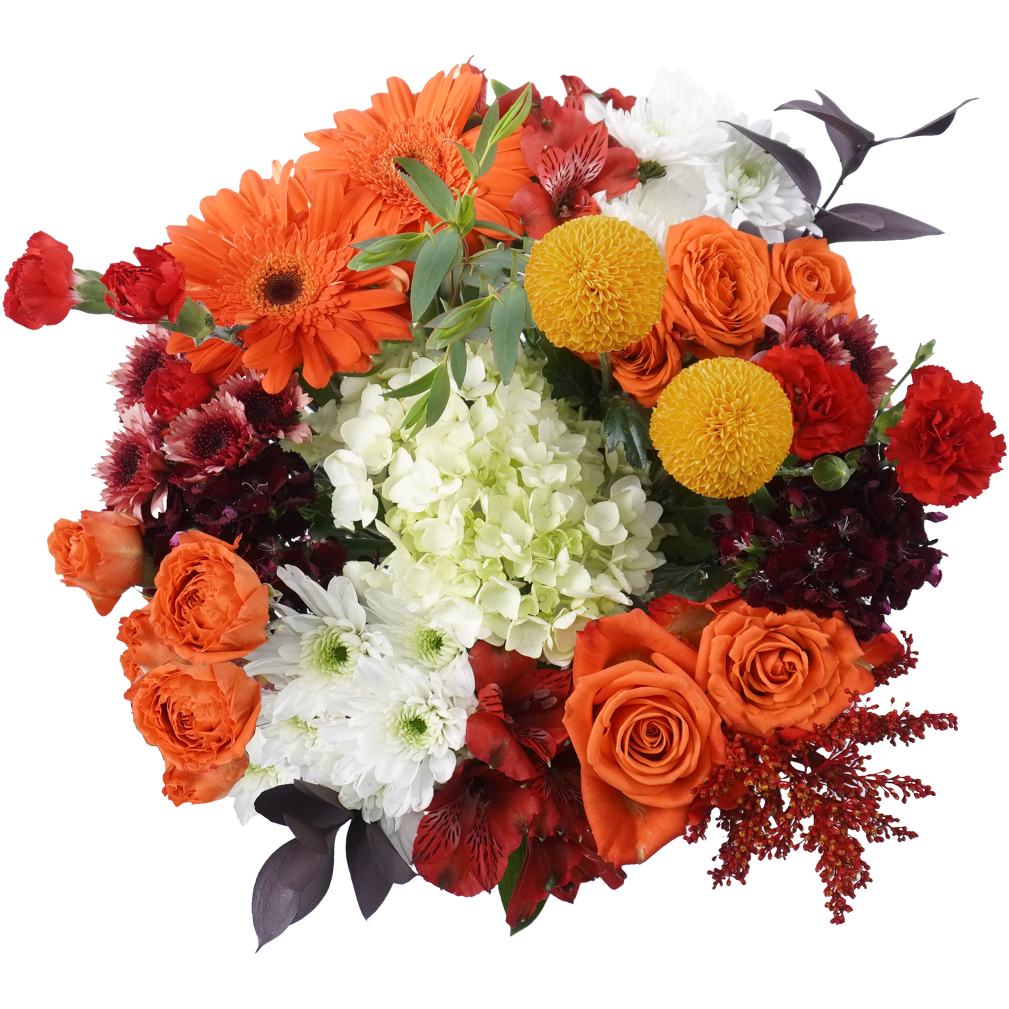 Cozy Soul – Warmth in Every Bloom