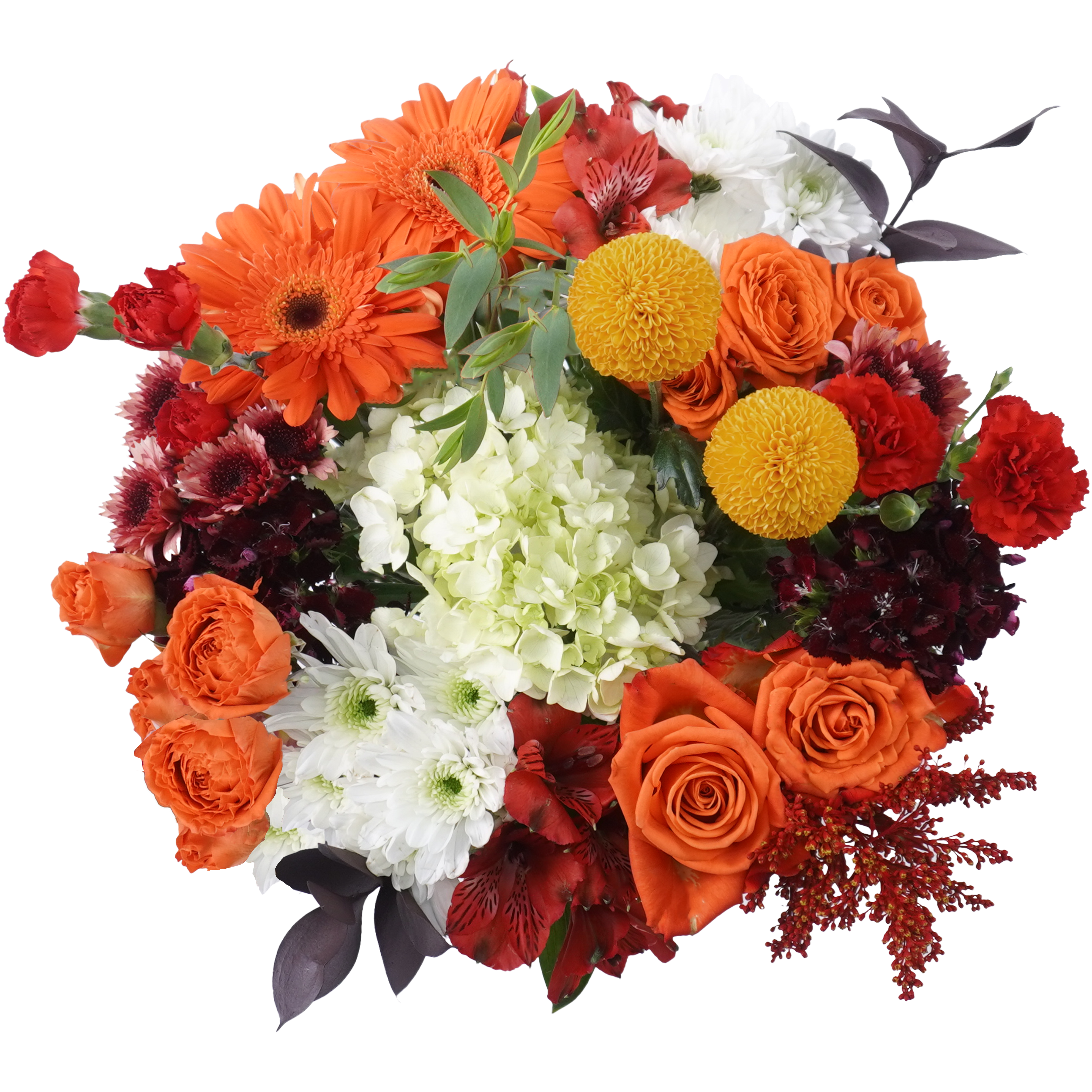 Cozy Soul – Warmth in Every Bloom