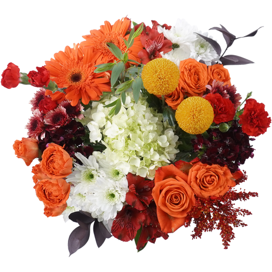 Cozy Soul – Warmth in Every Bloom