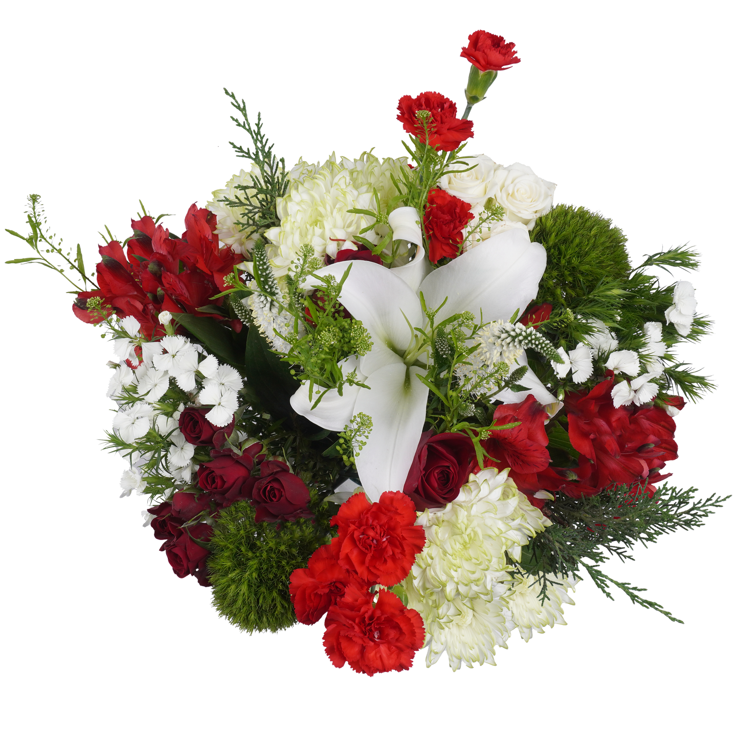 Crimson Bells – Bold and Beautiful