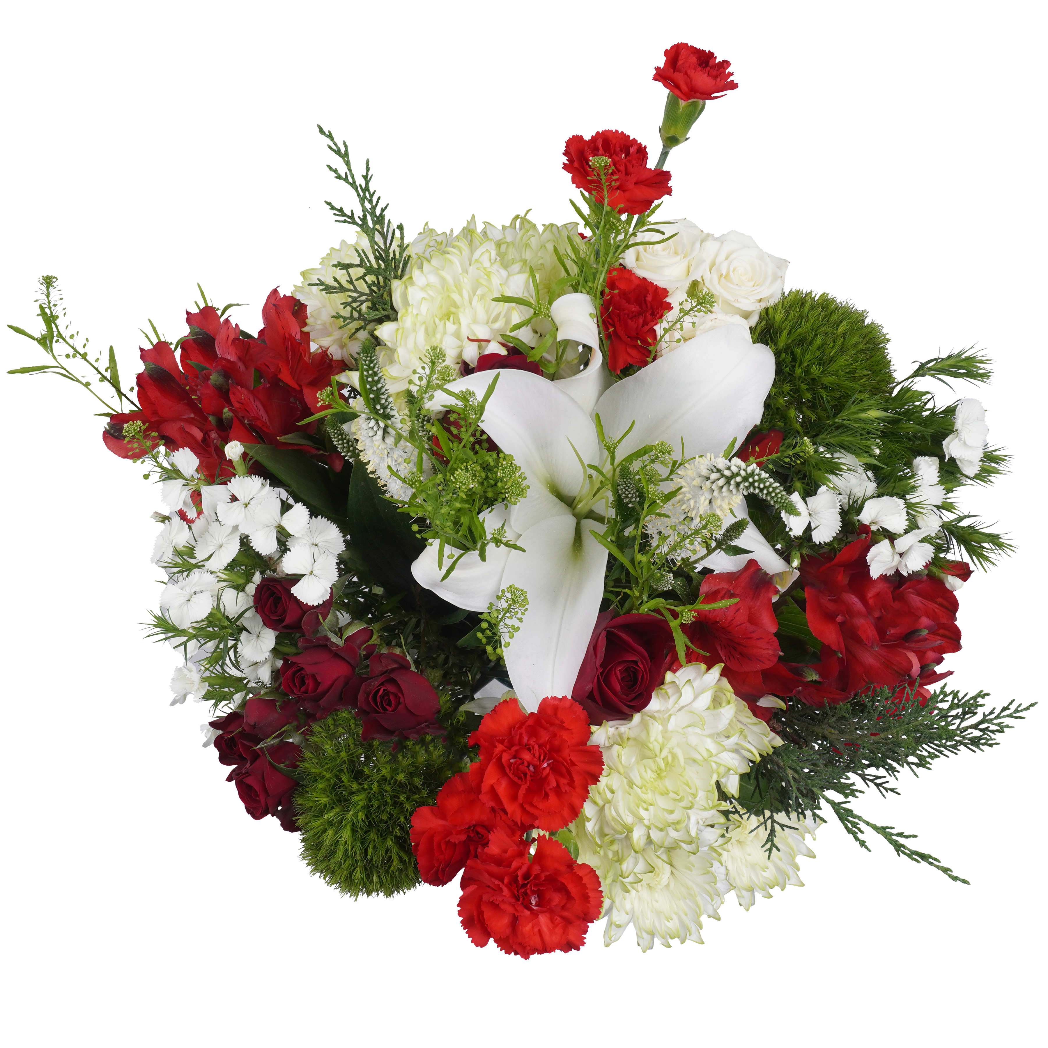 Crimson Bells – Bold and Beautiful