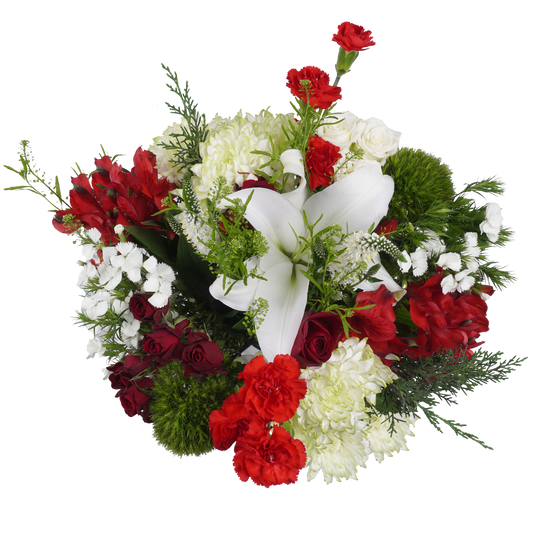 Crimson Bells – Bold and Beautiful