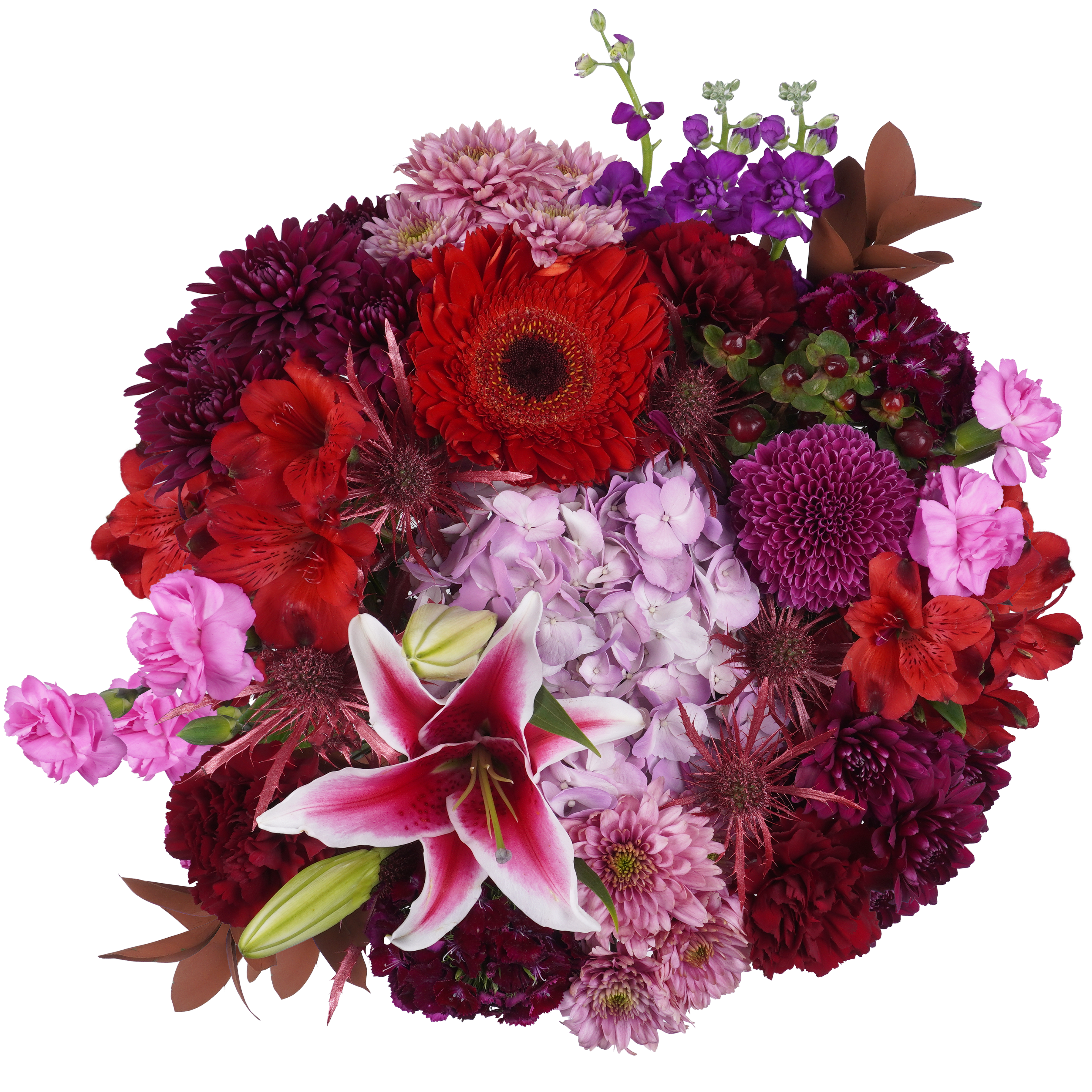 Crimson Spells – Enchanted and Alluring