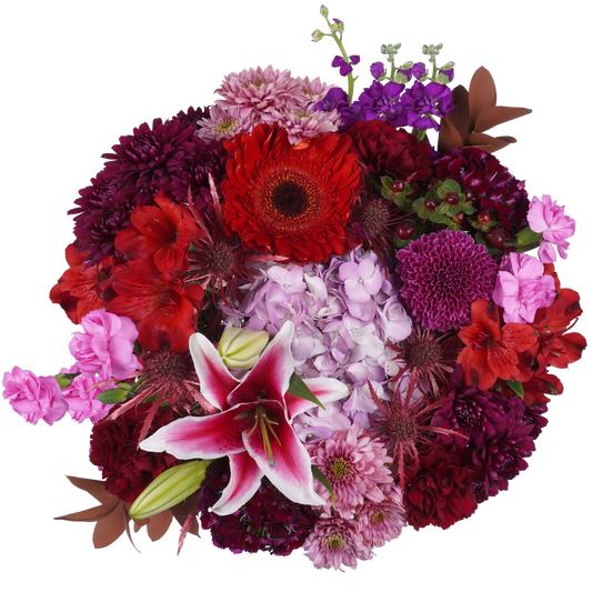 Crimson Spells – Enchanted and Alluring