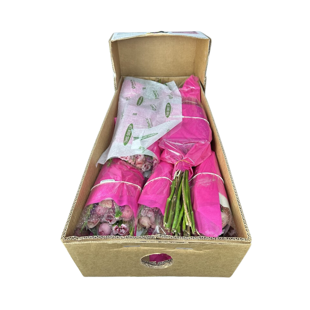 Purple Posy Color Palette DIY Bouquets (6 bqts in box)