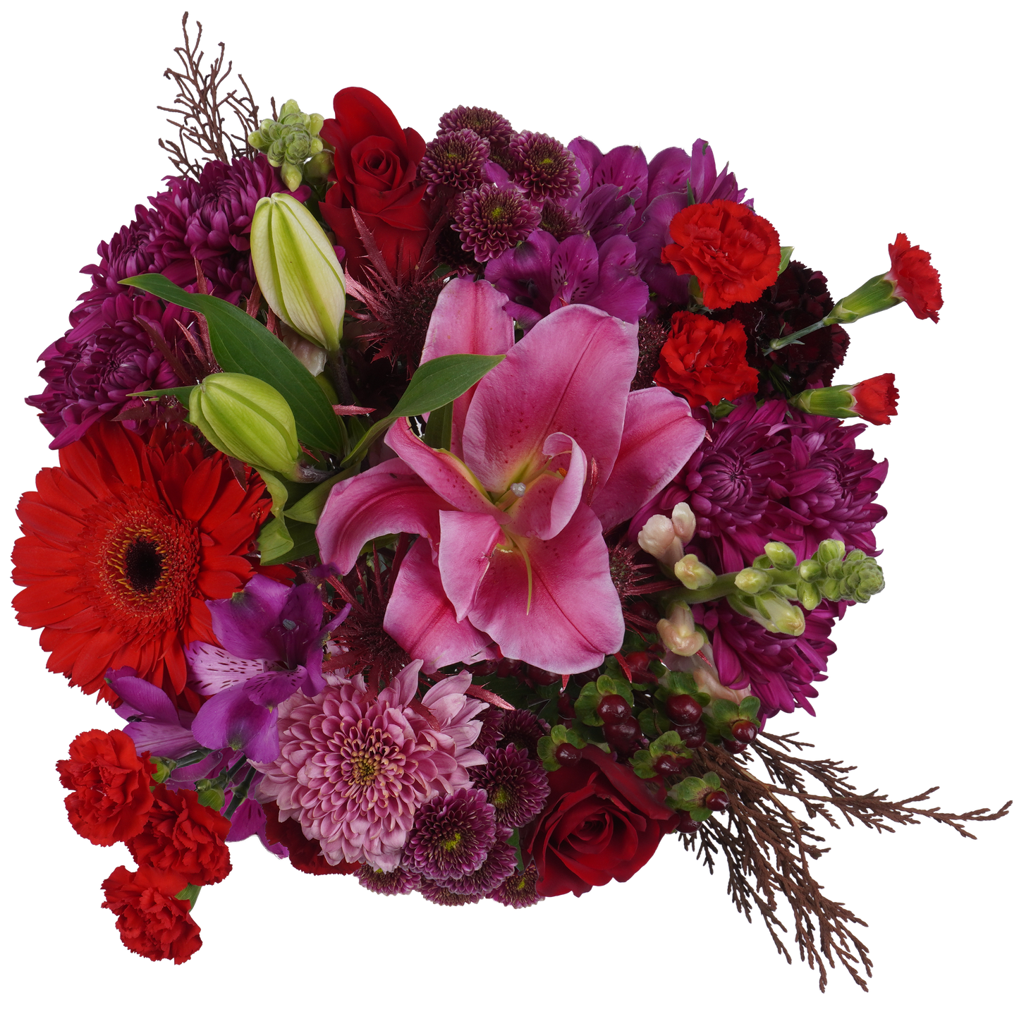 Dark Bloom – Moody, Luxe, and Timeless