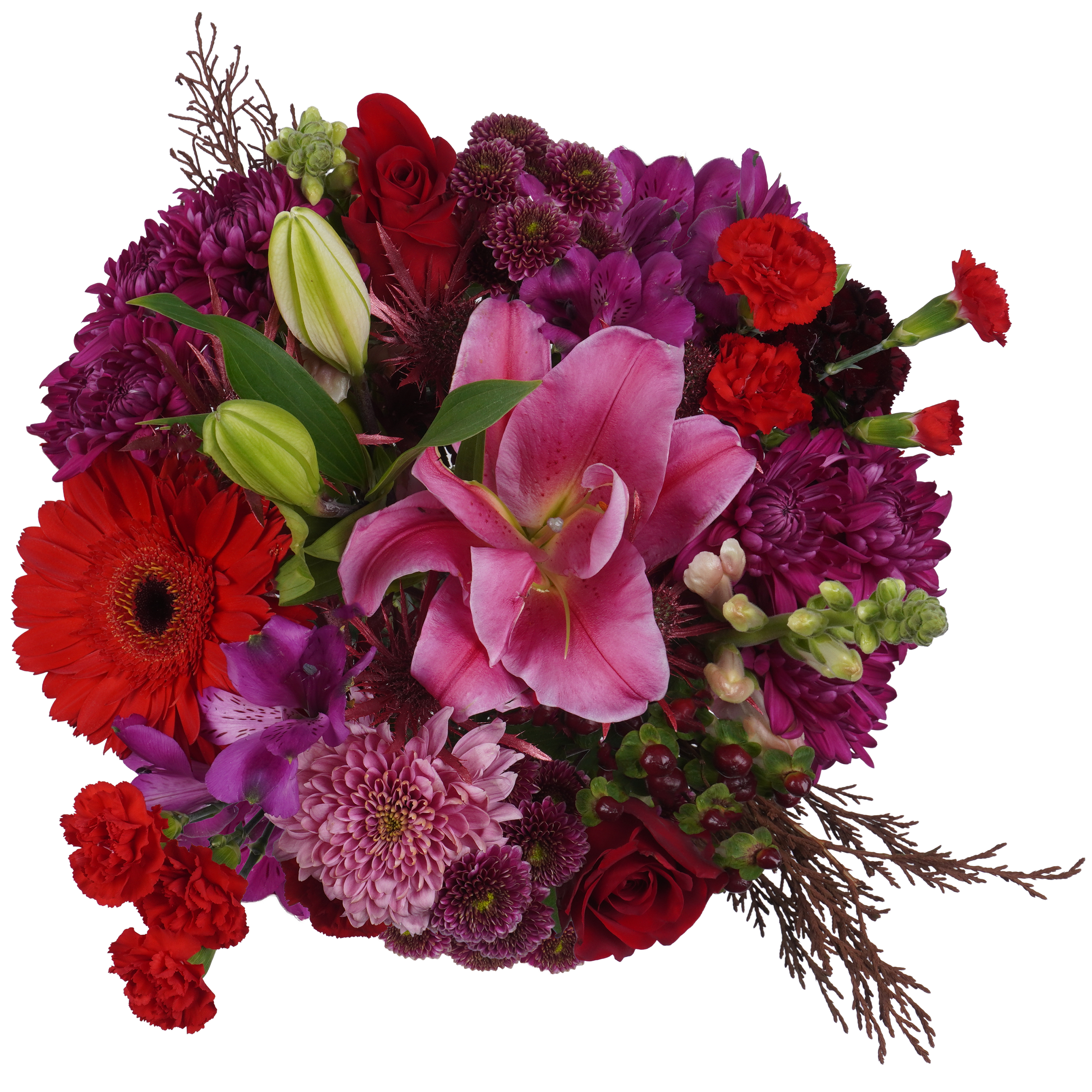 Dark Bloom – Moody, Luxe, and Timeless