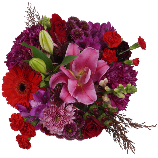 Dark Bloom – Moody, Luxe, and Timeless