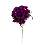 Dianthus Dark Purple (10 stem bunch)