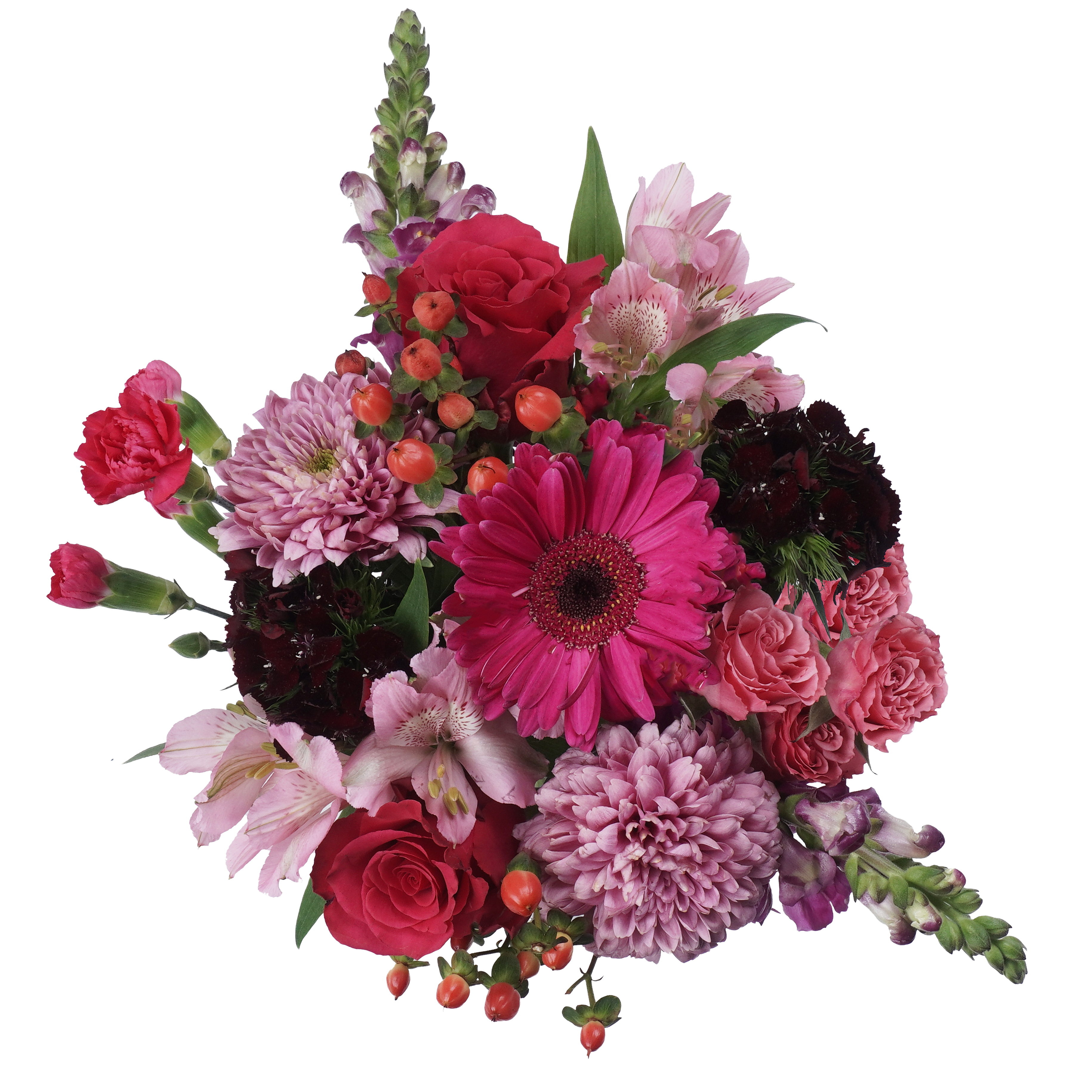 Divine Breath – Light, Fresh, and Heavenly