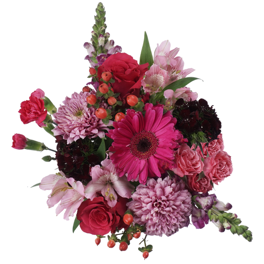 Divine Breath – Light, Fresh, and Heavenly