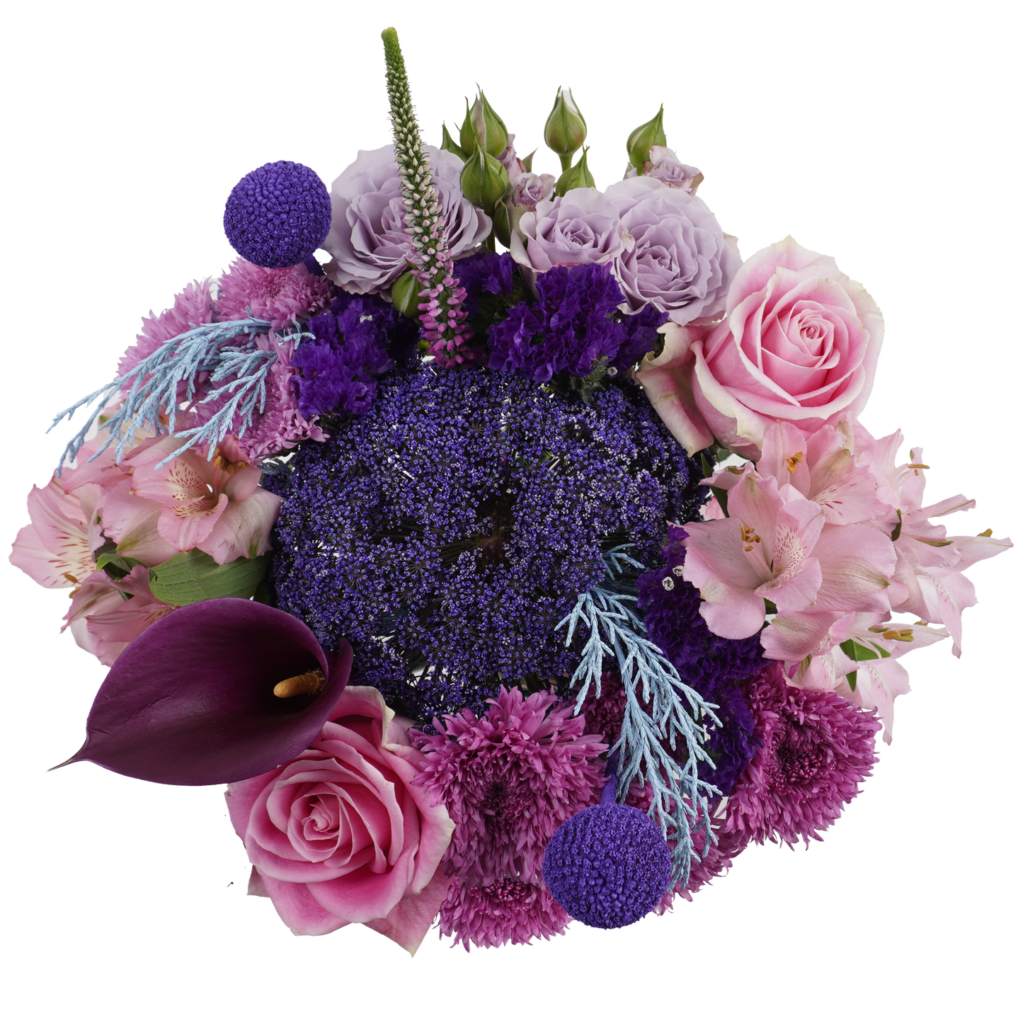 Eternal Aurora – A Symphony of Color and Light