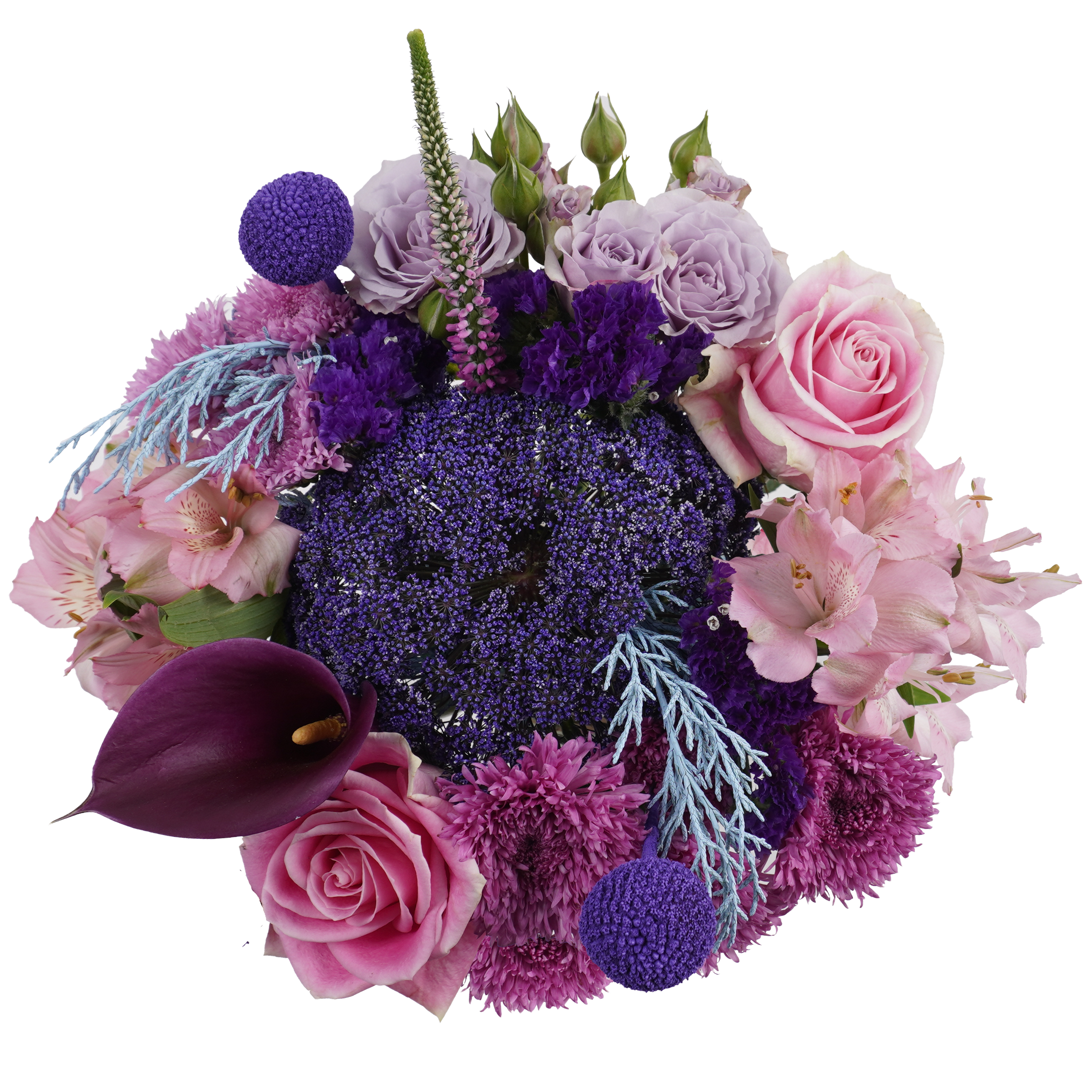 Eternal Aurora – A Symphony of Color and Light