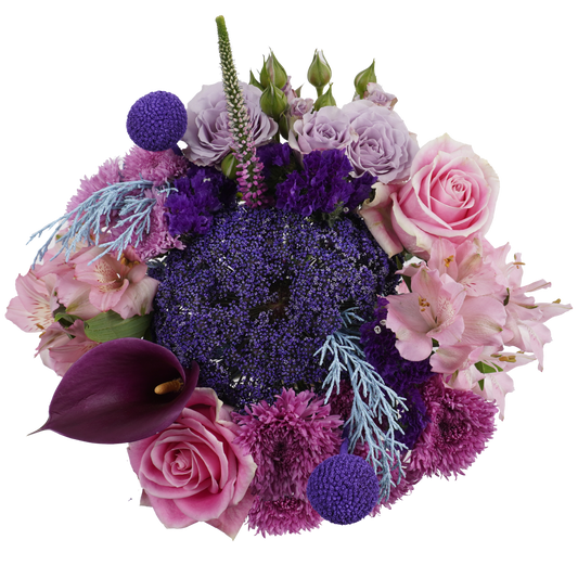 Eternal Aurora – A Symphony of Color and Light