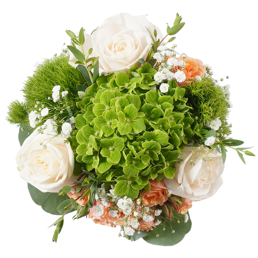 Eternity Elegance – Pure Simplicity, Lasting Beauty