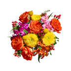 Motivation Bouquet – Uplifting Color, Radiant Spirit