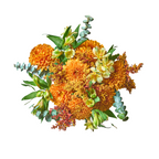 Pumpkin Fall Bouquet – Seasonal Warmth with Elegant Texture