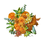 Bouquet 29