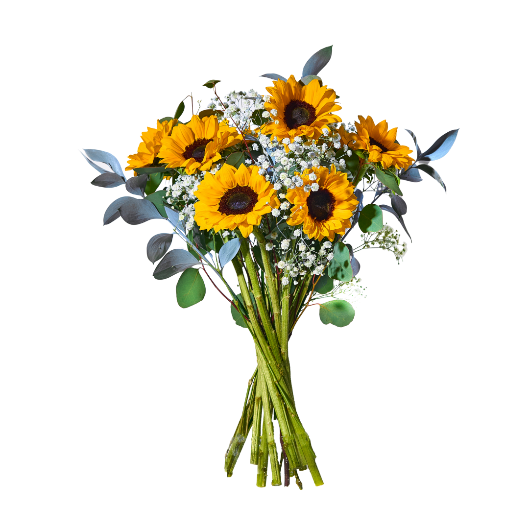 Dignity Bouquet – Strength and Light in Every Bloom