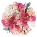 Healing Harmony Bouquet – Gentle Beauty, Restful Spirit