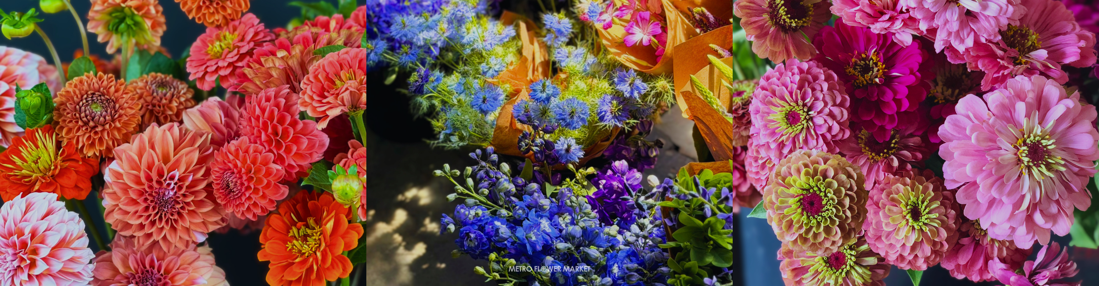 A collage of floral photography, featuring three images of summer flowers—including dahlias, zinnias, and cornflower—all in bright, vibrant shades of pink, coral, peach, orange, and blue.