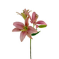 Asiatic Lily Pink (10 stem bunch)