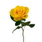 Rose Yellow (25 stem bunch)