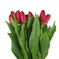 Tulips Red (10 stems)