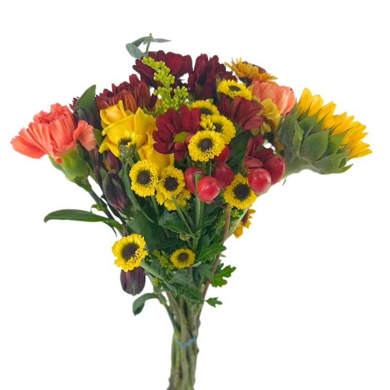 Misty Morning Bouquets-A Bright Start to Every Day (5 sizes available)