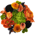 Mummy Hug Bouquet – Playful Warmth and Autumn Cheer