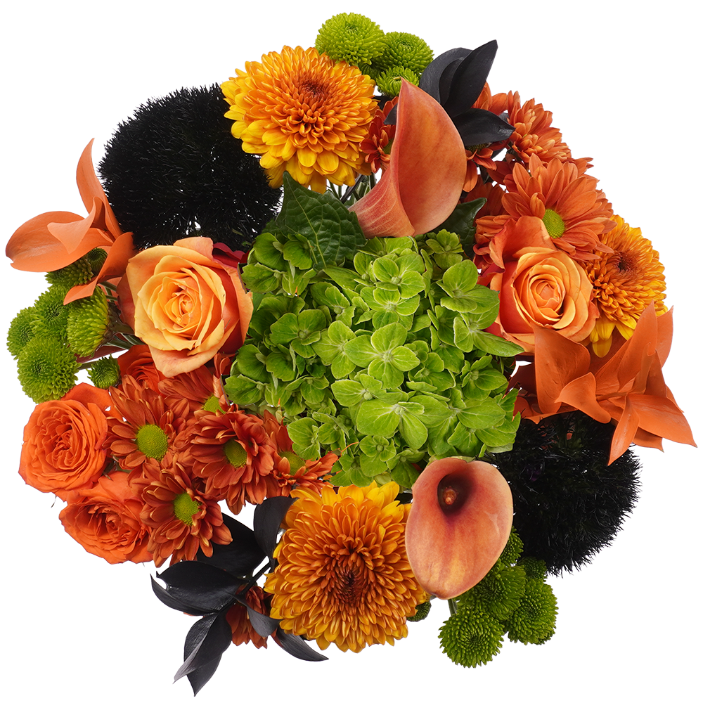 Mummy Hug Bouquet – Playful Warmth and Autumn Cheer