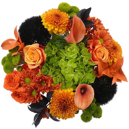 Mummy Hug Bouquet – Playful Warmth and Autumn Cheer