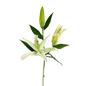 Oriental Lily White (10 stem bunch)
