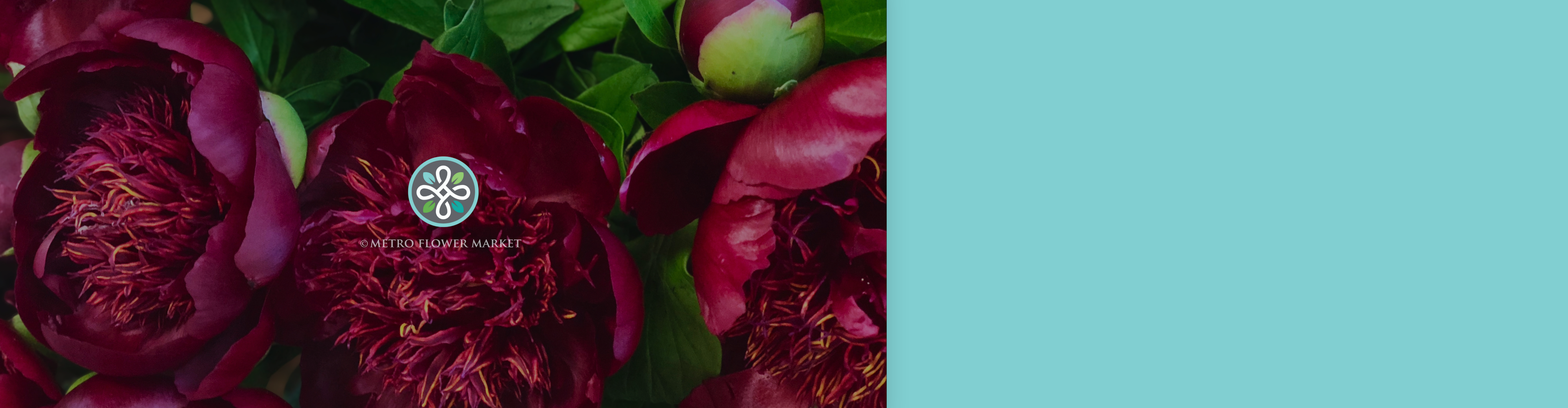 Zoomed in shot of burgundy peonies with a floating Metro Flower Market logo overlayed.