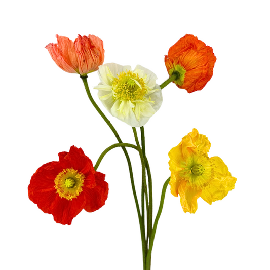 Poppy, Assorted