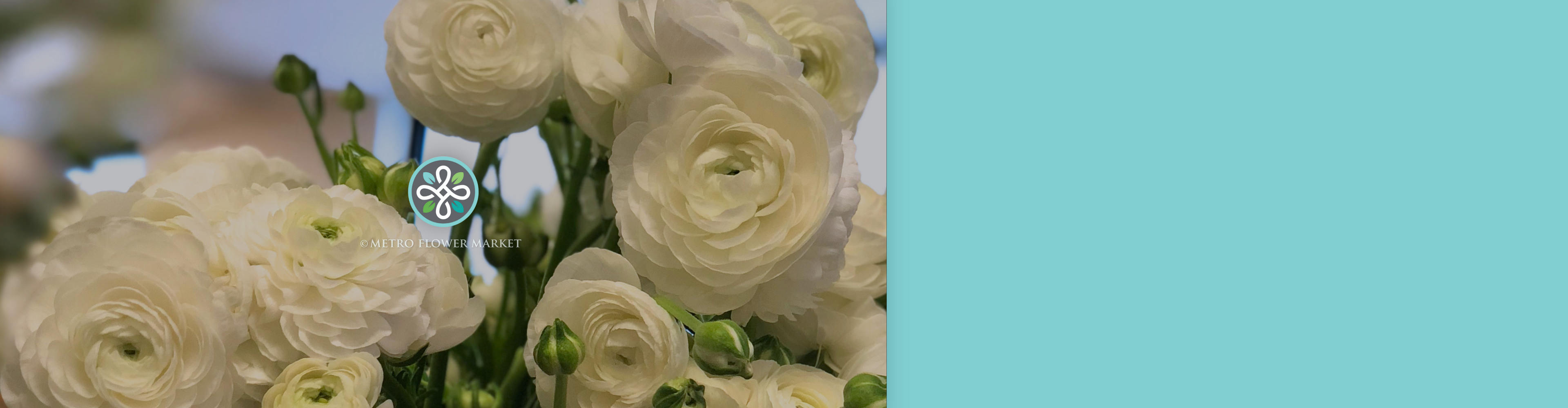 White ranunculus sitting in a vase in a storefront florist setting against a blurred background.