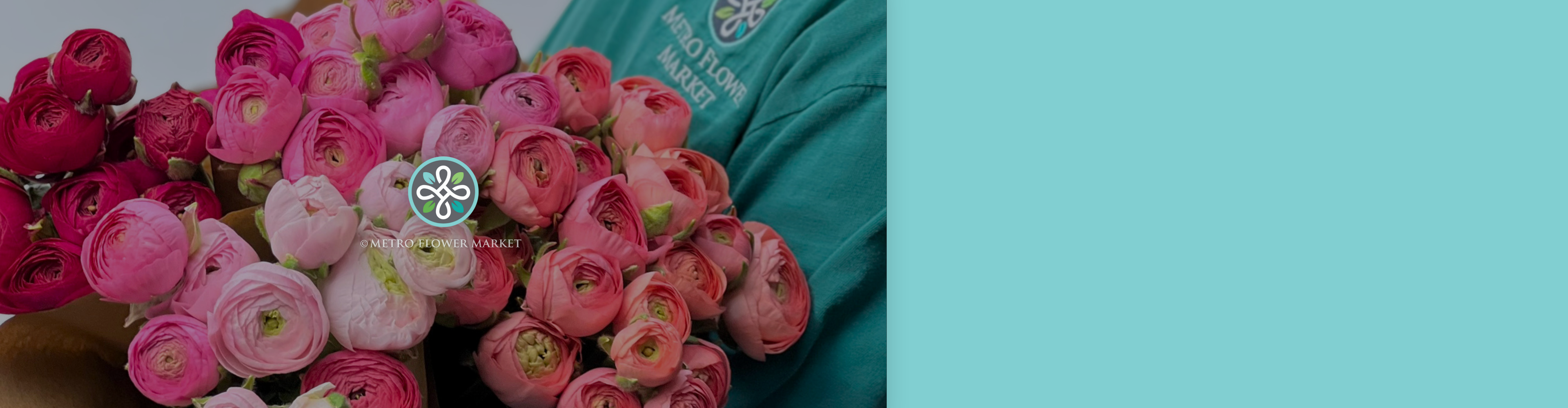 Bunches of local grown ranunculus in shades of pink held by a Metro Flower Market team member in a uniform aqua Metro shirt.