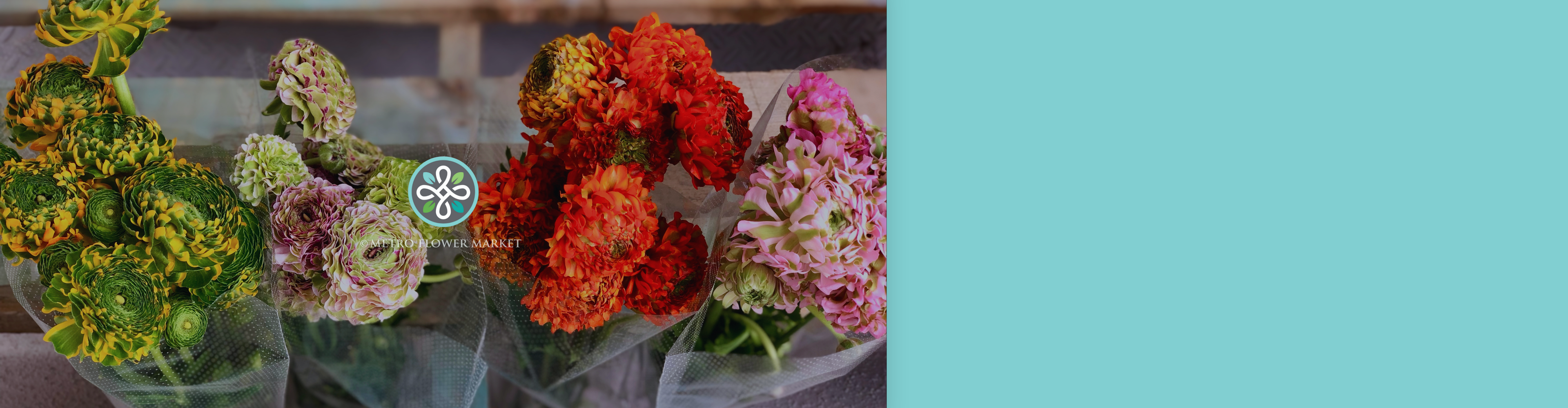 Bold colorful pon pon ranunculus bunches are perched against a pallet backdrop in clear plastic sleeves with the Metro Flower Market logo visible overlayed.