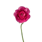 Ranunculus Elegance Hot Pink (10 stem bunch)