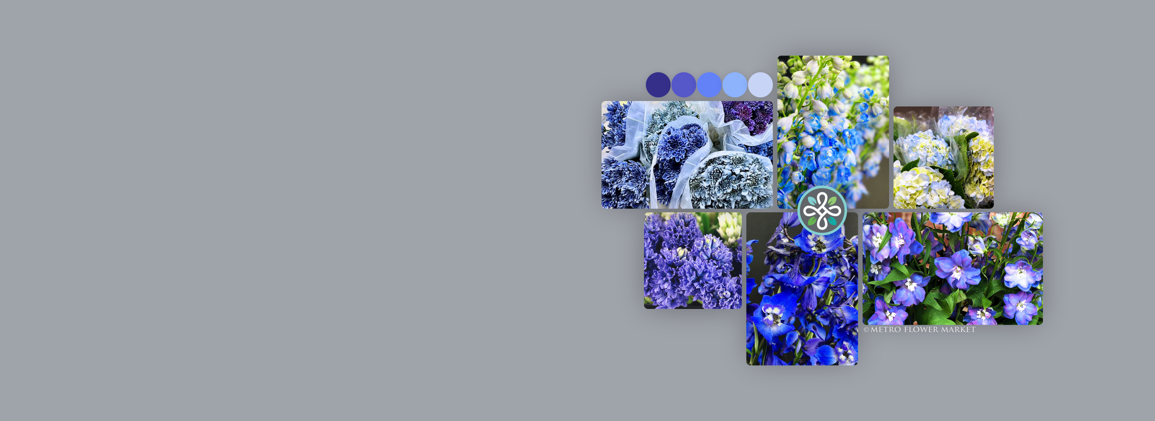 Collage of various blue floral images on a gray-blue background.