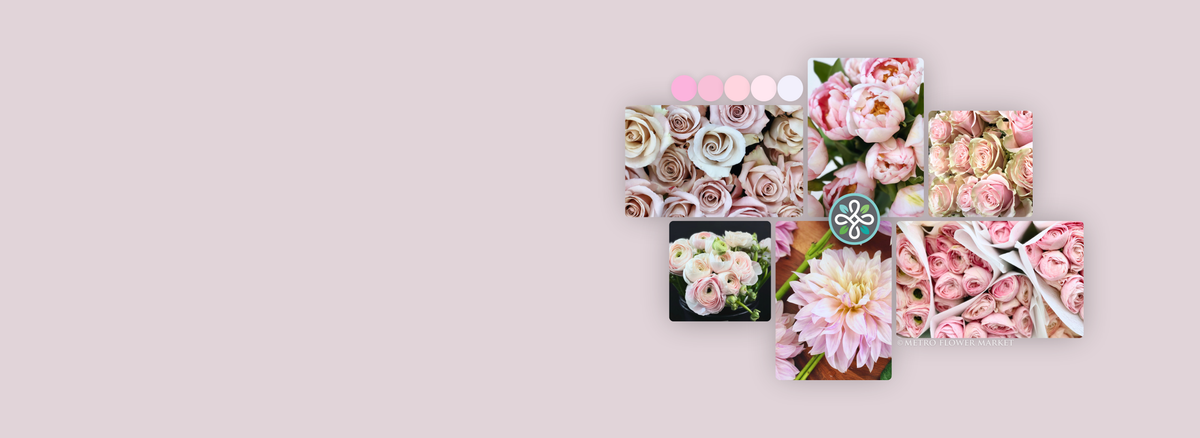 A collage of floral photography showing blushy pink flowers, including dahlias, roses, and ranunculus, arranged on a light grayish blush background with a small Metro Flower Market logo in the center